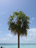 Enlarge photo 115