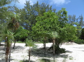 Enlarge photo 117