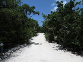 Enlarge photo 118