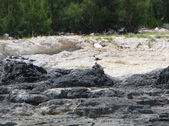 Enlarge photo 120