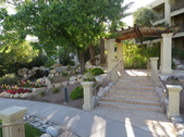 Enlarge photo 158