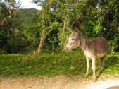 Enlarge photo 14