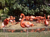 Enlarge photo 159