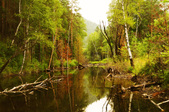 Enlarge photo 29