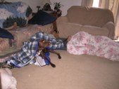 Enlarge photo 13