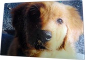 Enlarge photo 4