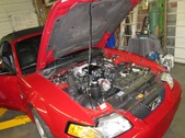 Enlarge photo 15