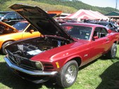 Enlarge photo 22