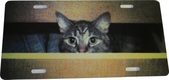 Enlarge photo 42