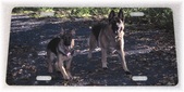 Enlarge photo 146