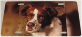 Enlarge photo 153