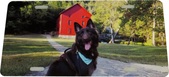 Enlarge photo 156