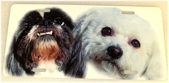Enlarge photo 157