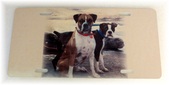 Enlarge photo 160