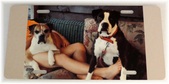 Enlarge photo 161