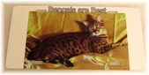 Enlarge photo 164