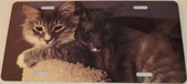 Enlarge photo 178