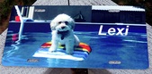 Enlarge photo 39