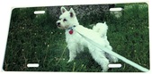 Enlarge photo 37