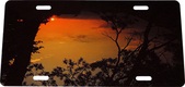 Enlarge photo 69