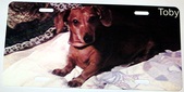Enlarge photo 73
