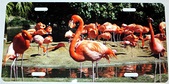 Enlarge photo 74