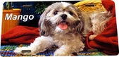 Enlarge photo 79