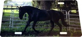 Enlarge photo 88