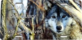 Enlarge photo 95