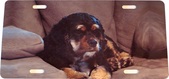Enlarge photo 103