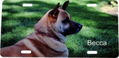 Enlarge photo 121