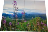 Enlarge photo 29