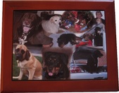 Enlarge photo 6