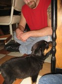 Enlarge photo 7