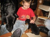 Enlarge photo 11