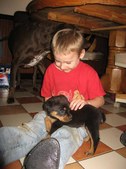 Enlarge photo 12