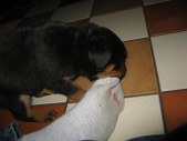 Enlarge photo 13