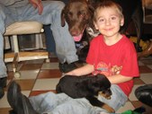 Enlarge photo 15