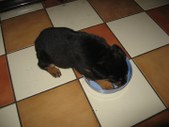 Enlarge photo 16