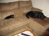 Enlarge photo 22