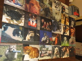 Enlarge photo 12