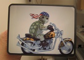Enlarge photo 5