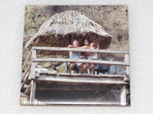 Enlarge photo 110