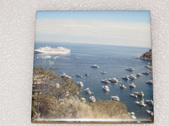 Enlarge photo 113