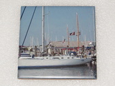 Enlarge photo 115