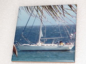 Enlarge photo 124