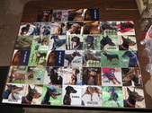 Enlarge photo 127
