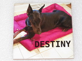 Enlarge photo 131