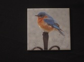Enlarge photo 35