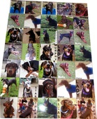 Enlarge photo 106